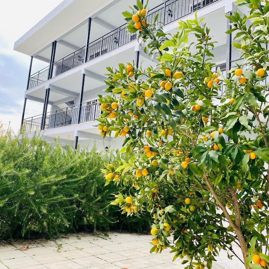 Hotel Mandarin Pizunda Luaran gambar